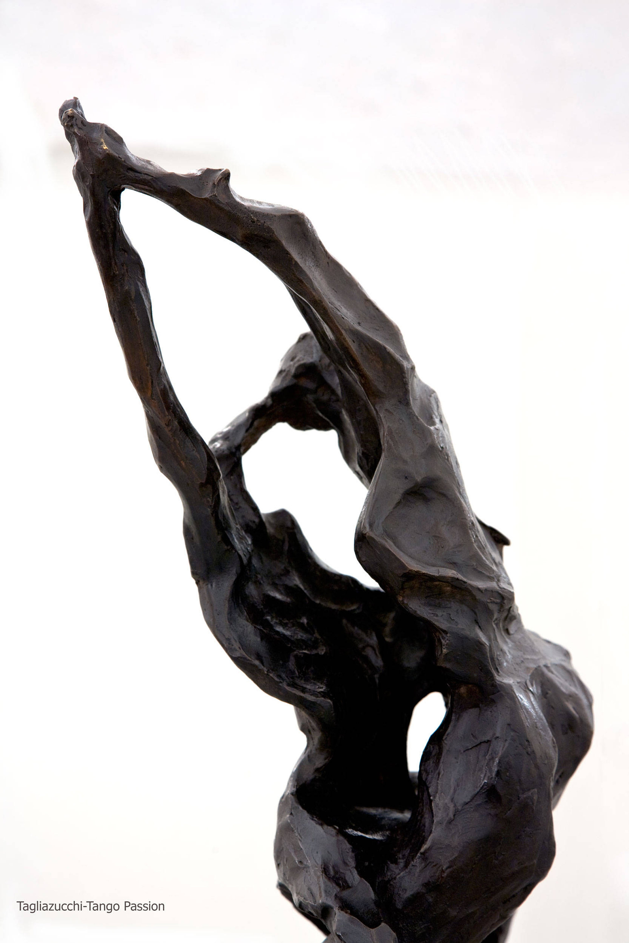Tango Passion