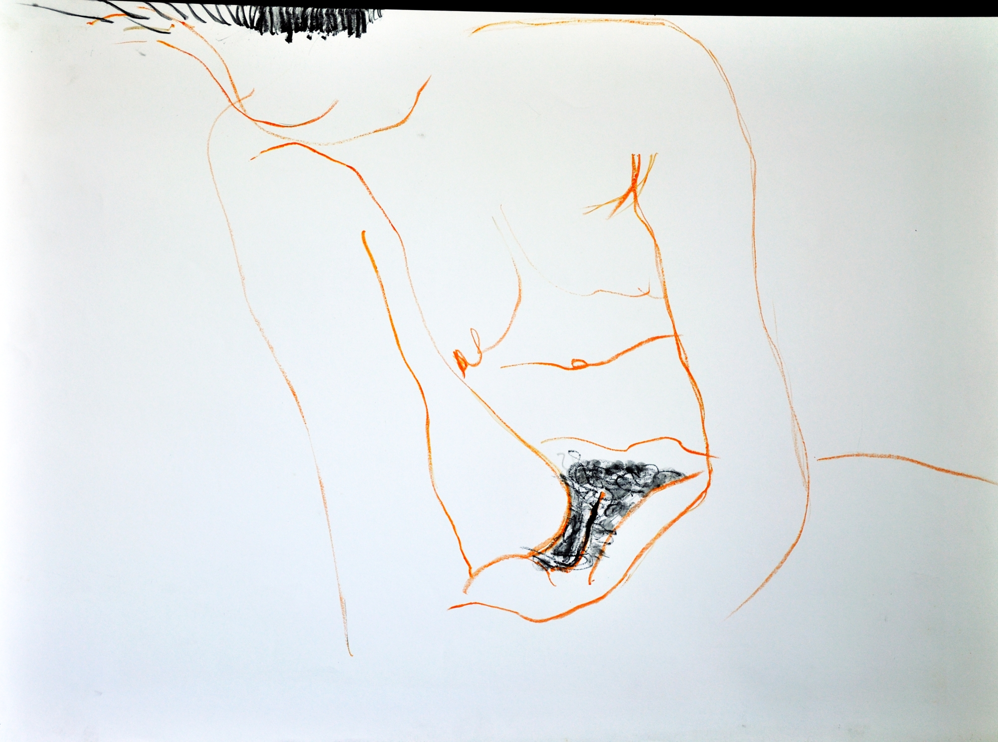 Stabilotone Drawings · 2
