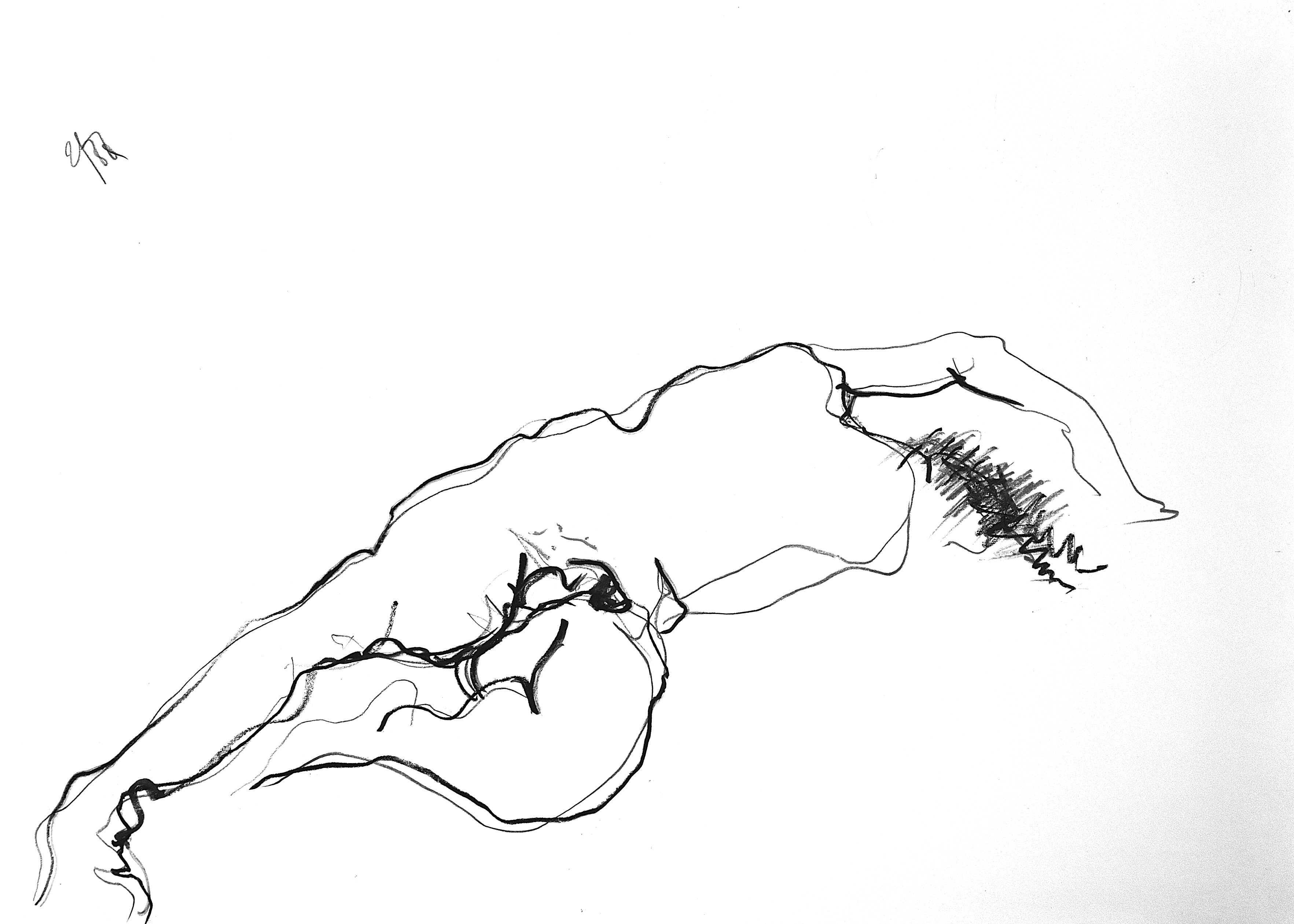 Stabilotone Drawings · 5
